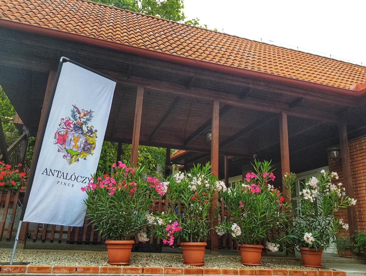 Antaloczy Winery&Apartments Tokaj Exterior foto