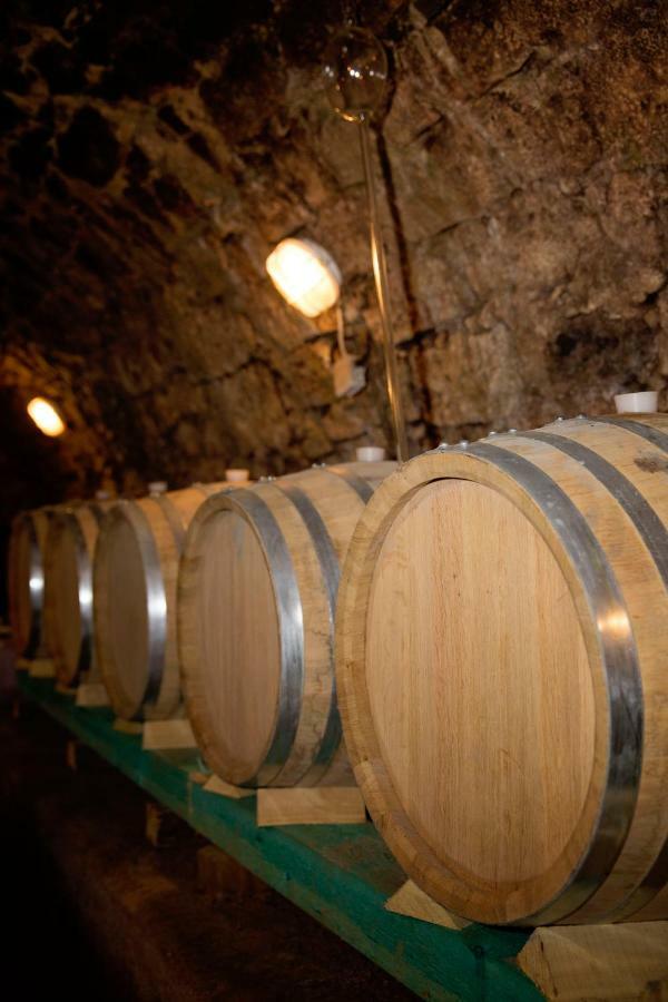 Antaloczy Winery&Apartments Tokaj Exterior foto